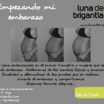 taller primer trimestre embarazo